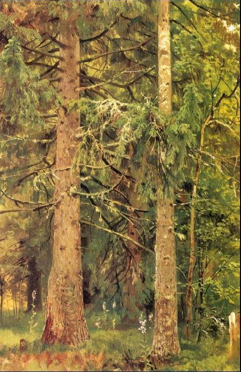 Fir Forest, Ivan Shishkin